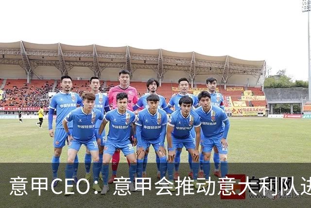 意甲CEO：意甲会推动意大利队进步 国家队低迷原因得追溯到20年前
